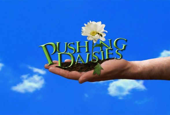 Pushing Daisies - 