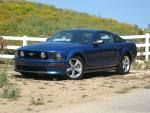 Muscle Cars  - 