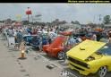 Muscle Cars  - 