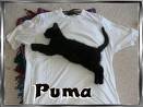 puma - 