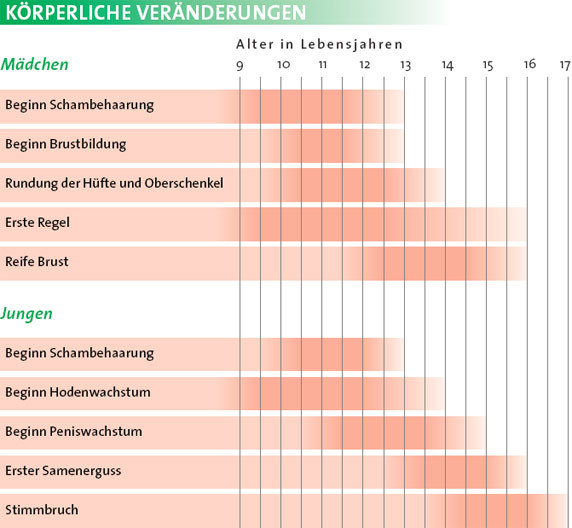 Pubertät - 
