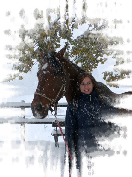 die aktuellen Schneefotos vom KÖberg - 