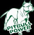 THE REAL AMERICAN PITBULL TERRIER - 