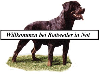 Die Rottweiler - 