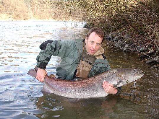 Salmoniden - 