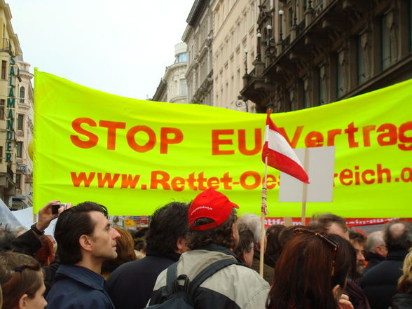 Demo in Wien für eine Volksabstimmung - 