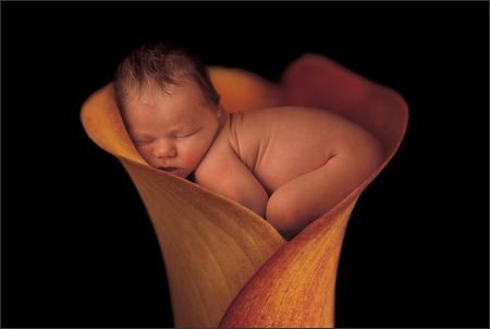 Anne Geddes - 