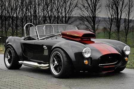 Weineck Cobra - 