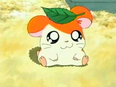 Hamtaro - 