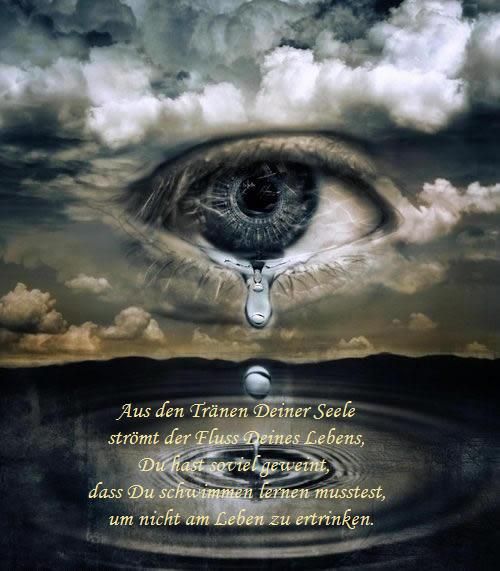 Augen - 