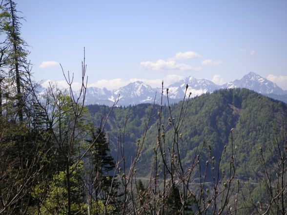 Schönheit der Natur - 