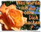 Liebe - 