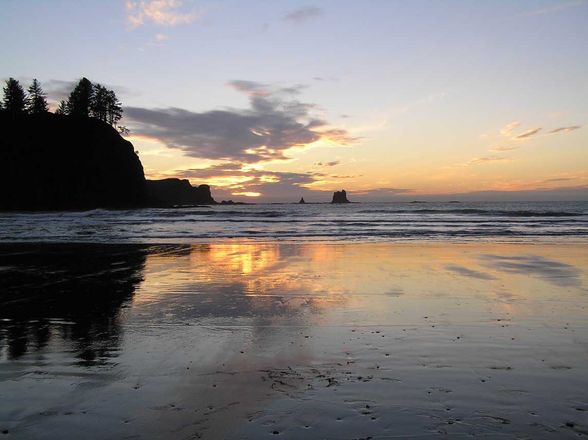 Forks & La Push - 