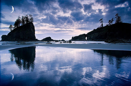 Forks & La Push - 