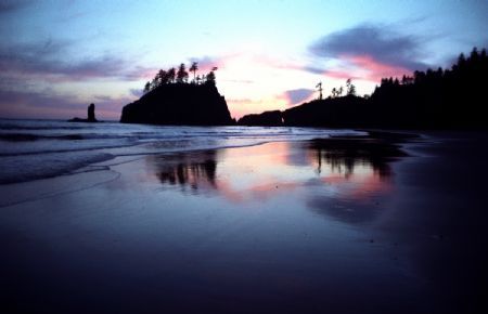 Forks & La Push - 