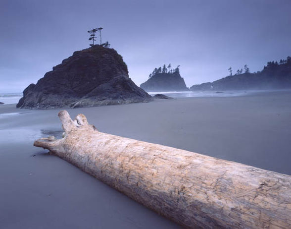 Forks & La Push - 