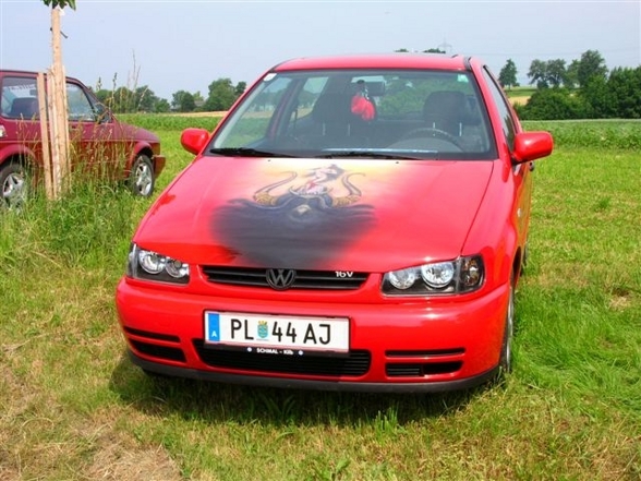 VW  & AUDI Treffen Wieselburg/ VW BULLS - 