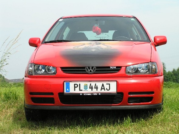 VW  & AUDI Treffen Wieselburg/ VW BULLS - 