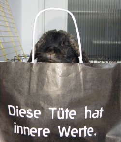 °°Weil Tiere einfach toll sind°° - 