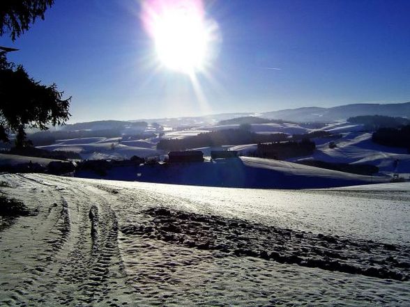 Fotos rund um Götzendorf - 