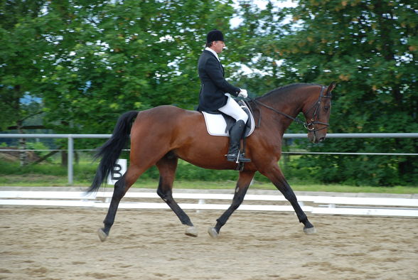 Dressurturnier Rainbach 2009 - 