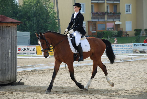 Dressurturnier Rainbach 2009 - 