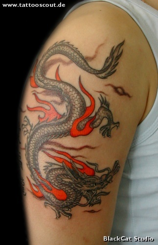 dragon - 