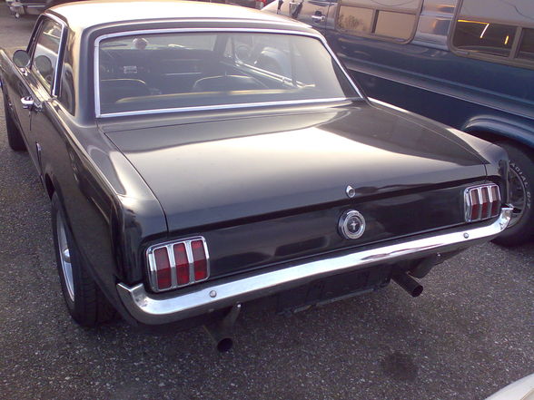 Mustang - 