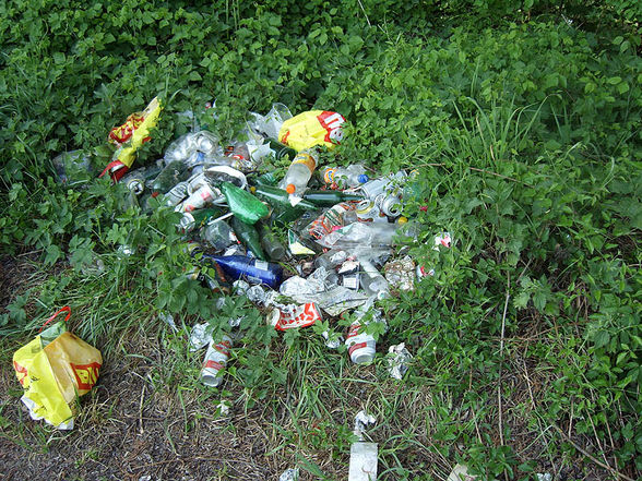 Traunauen Ebelsberg nach Verschmutzung - 