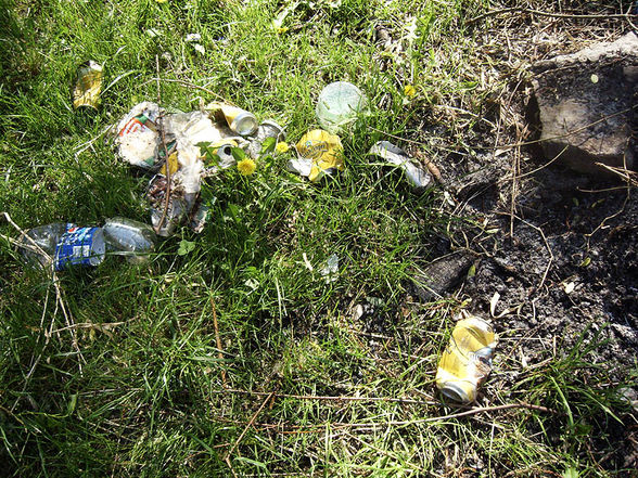 Traunauen Ebelsberg nach Verschmutzung - 