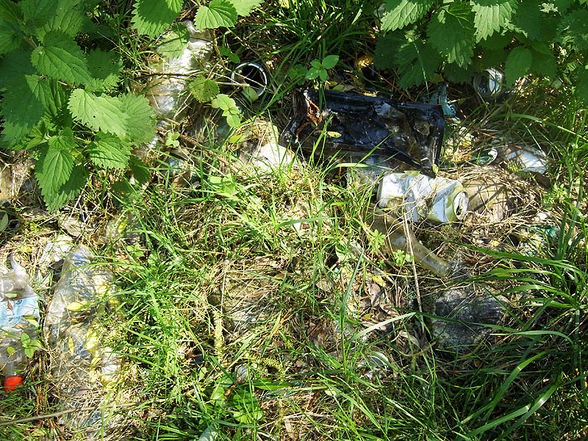 Traunauen Ebelsberg nach Verschmutzung - 