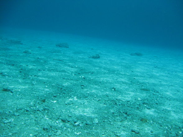 Tauchen im Grünen See - 