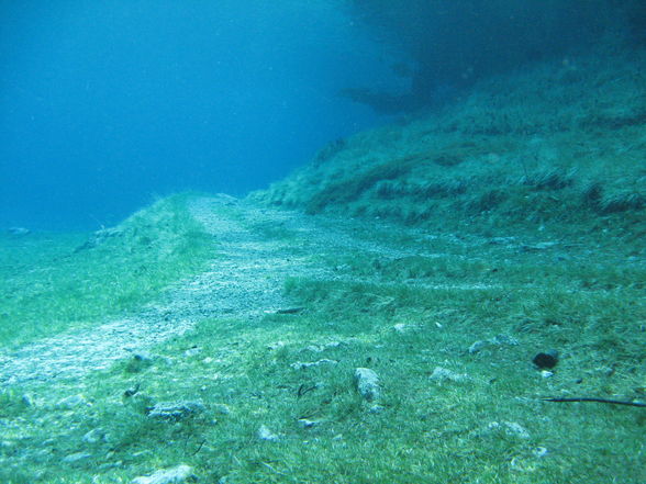 Tauchen im Grünen See - 