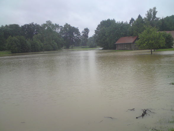 hochwasser juni 2009 - 