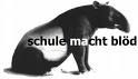 schwule schule - 