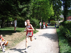 Bezirksparklauf 2007 - 