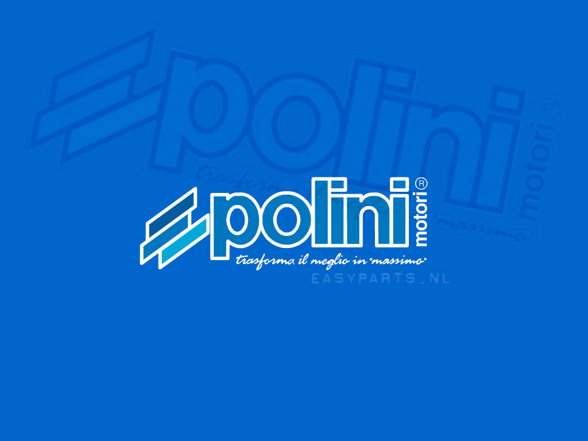 Polini - 