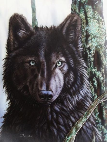 Wolves - 