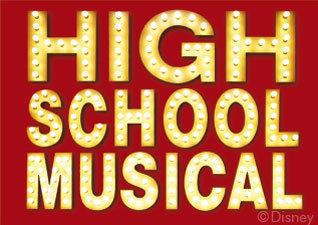 high school musical stars - 