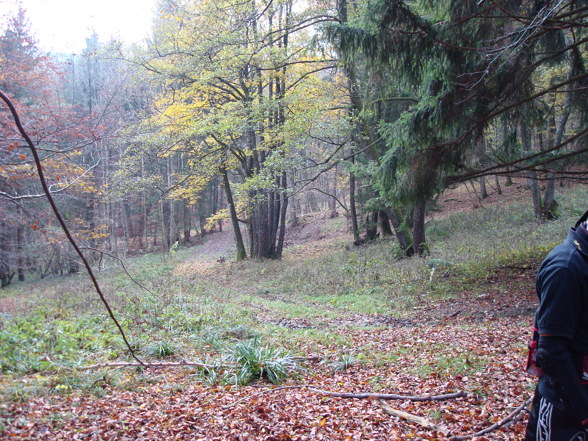 Schimpfhub - Woodland spielen !! - 