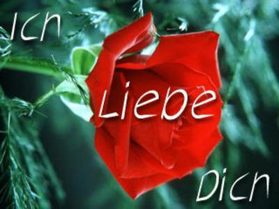 Ich LIEBE ihrn!!! - 