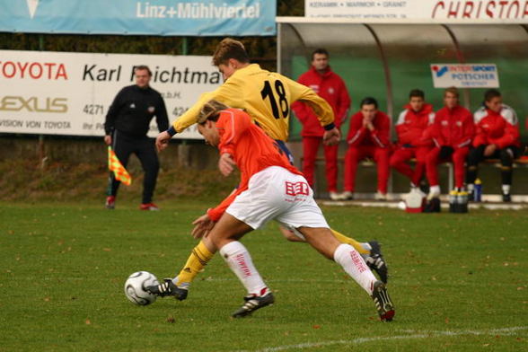 1:0 Heimsieg gegen Steyr - 