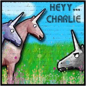 Charly the unicorn!!!!!!!! - 