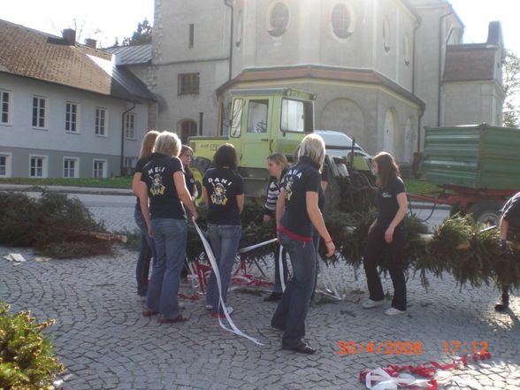 Maibaum aufstellen - 