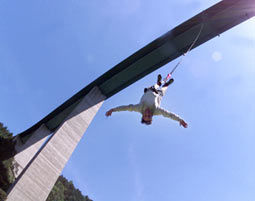 1-2 Bungee - 