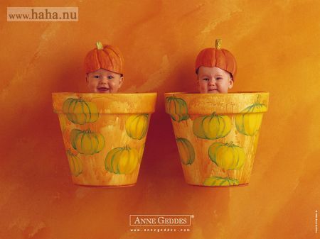 Anne Geddes - 