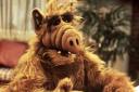 Alf - unser idol. - 