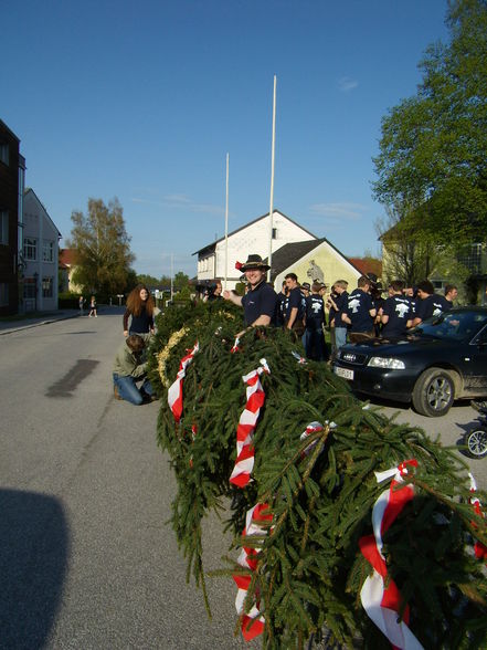 Maibaum - 