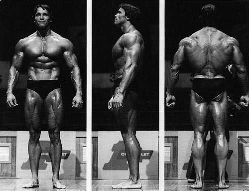 Arnold Schwarzenegger - 