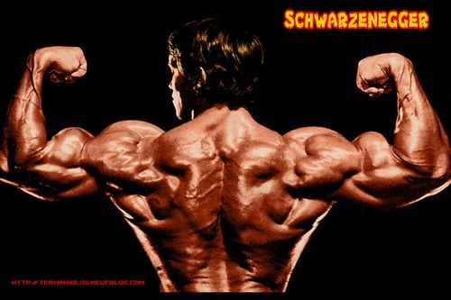 Arnold Schwarzenegger - 